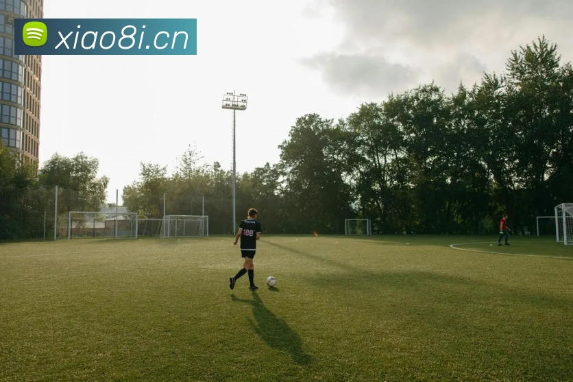 爱游戏首页网站服务体系