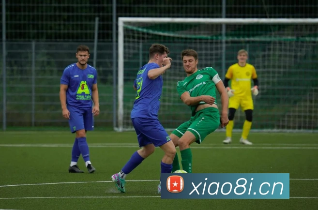 多媒体互动体验